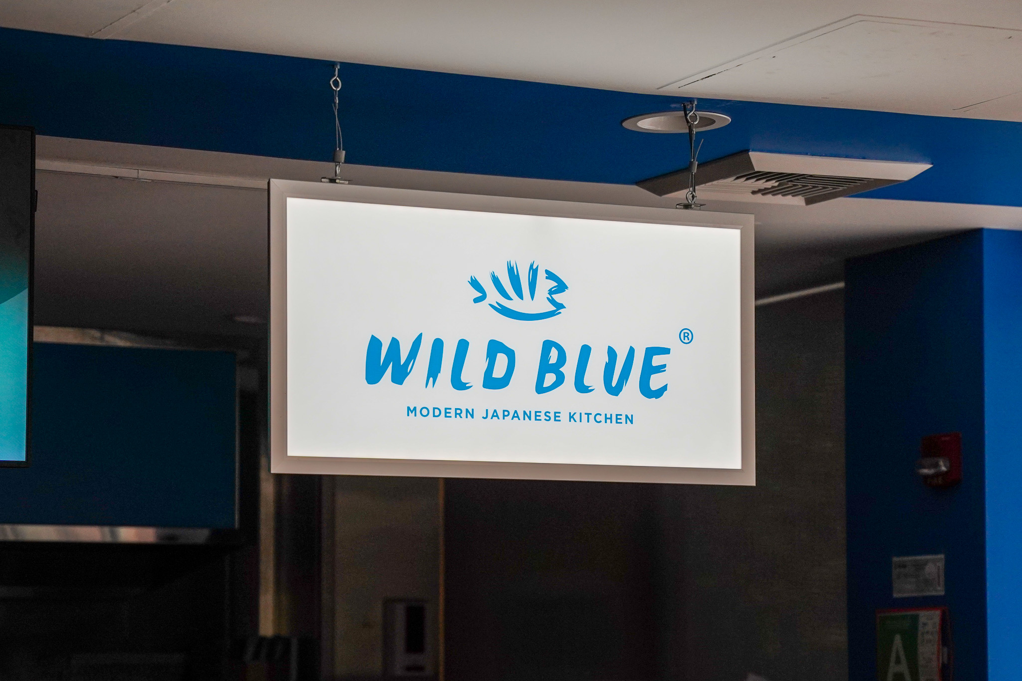 Wild Blue Modern Japanese